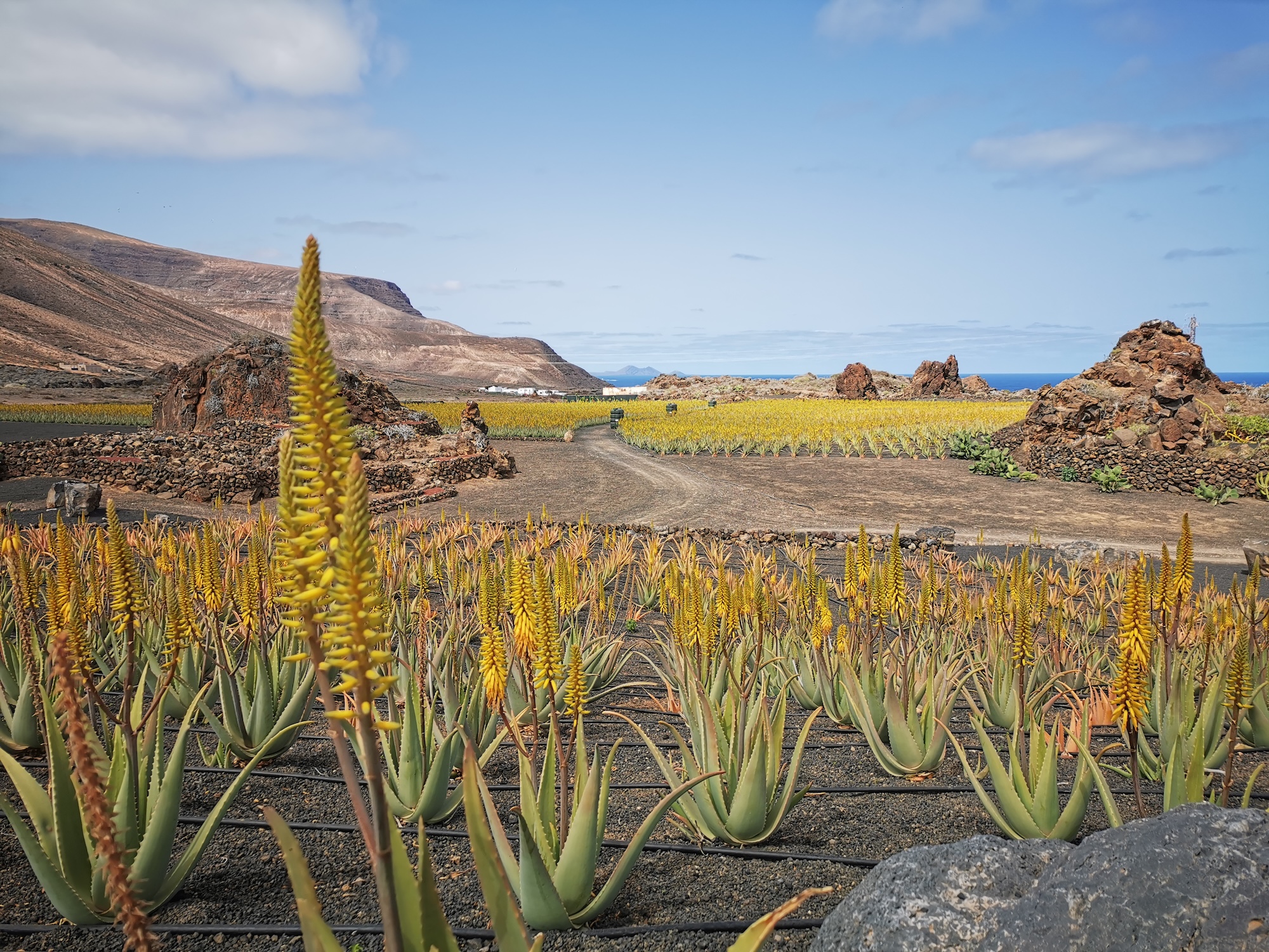 Lanzarote : 5 lieux incontournables dans le nord de l'île